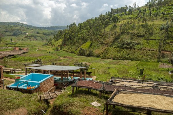 Comment mettre en place un système de réutilisation des eaux usées pour l'irrigation des espaces verts dans les zones arides ?